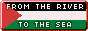 Palestine Button